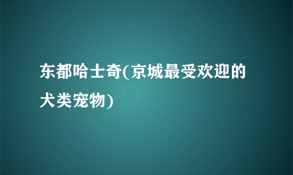 东都哈士奇(京城最受欢迎的犬类宠物)