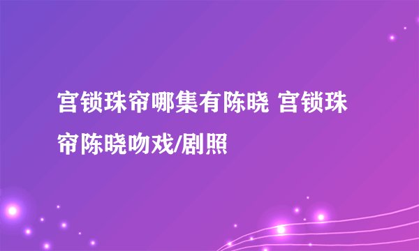 宫锁珠帘哪集有陈晓 宫锁珠帘陈晓吻戏/剧照