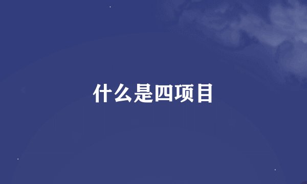 什么是四项目