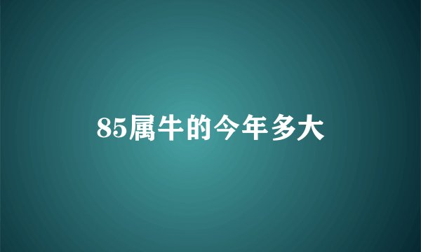 85属牛的今年多大