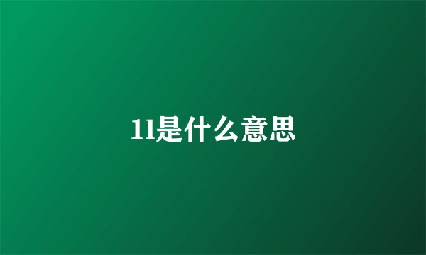 1l是什么意思