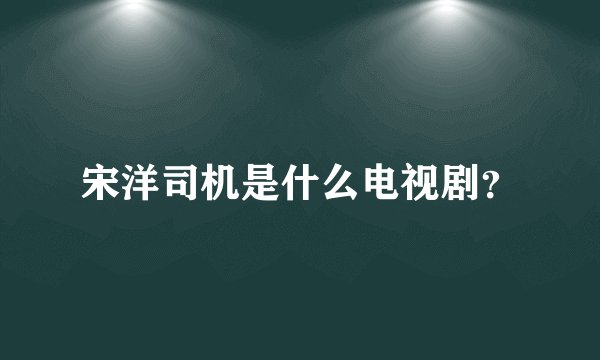 宋洋司机是什么电视剧？