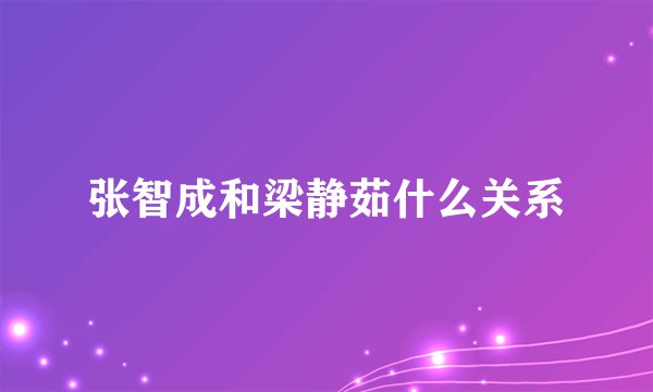 张智成和梁静茹什么关系