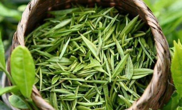 双井绿属于什么茶 双井绿茶叶多少钱一斤