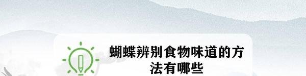 蝴蝶辨别食物味道的方法有哪些