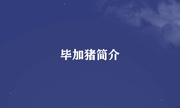 毕加猪简介