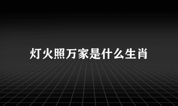 灯火照万家是什么生肖