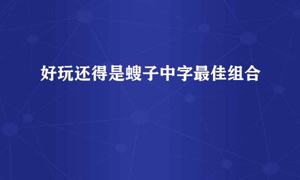 好玩还得是螋子中字最佳组合