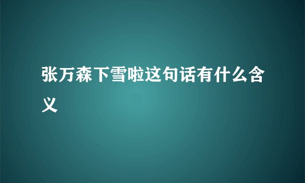 张万森下雪啦这句话有什么含义
