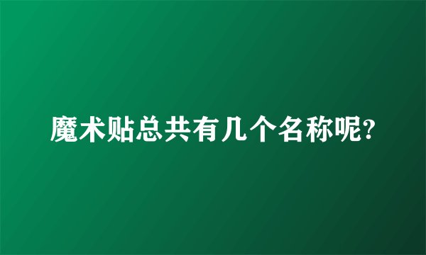魔术贴总共有几个名称呢?