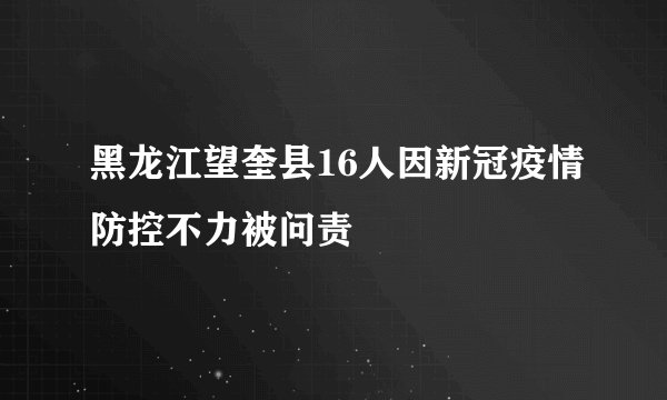 黑龙江望奎县16人因新冠疫情防控不力被问责