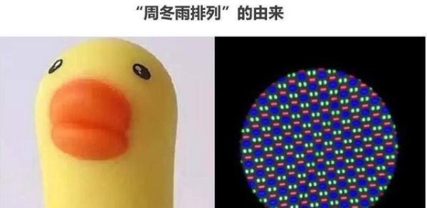 周冬雨排列是什么意思？原作者披露真相
