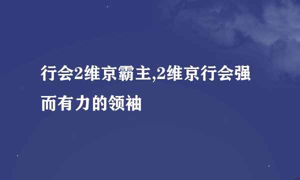 行会2维京霸主,2维京行会强而有力的领袖