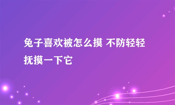 兔子喜欢被怎么摸 不防轻轻抚摸一下它