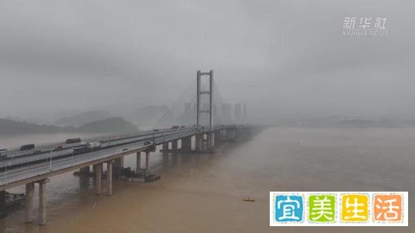 惊魂九江大桥：横跨17载，两起惨烈事故中的同一个主角