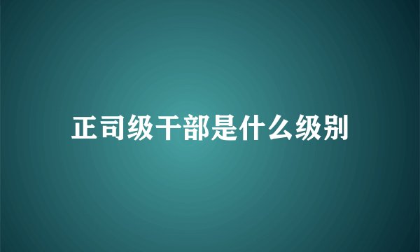 正司级干部是什么级别