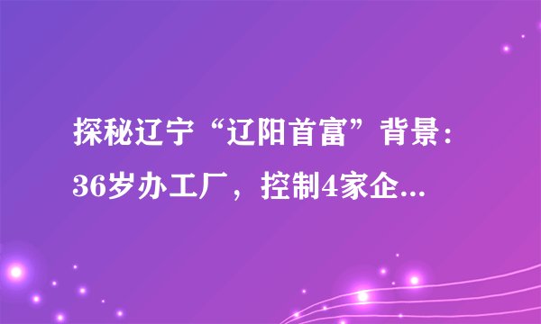 探秘辽宁“辽阳首富”背景：36岁办工厂，控制4家企业，身价51亿