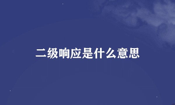 二级响应是什么意思