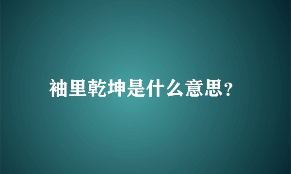 袖里乾坤是什么意思？