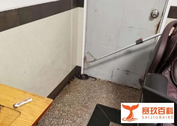 阿姨听到敲门声 开门一看是条眼镜蛇
