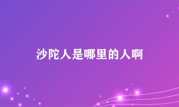 沙陀人是哪里的人啊