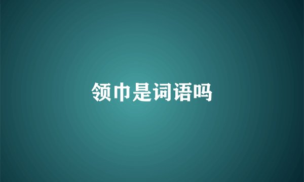 领巾是词语吗