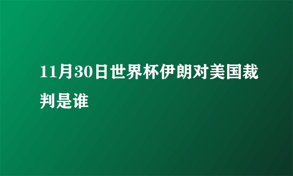 11月30日世界杯伊朗对美国裁判是谁
