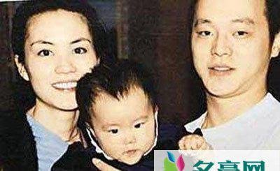 王菲的婚姻史 关于王菲离婚的原因