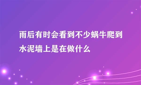 雨后有时会看到不少蜗牛爬到水泥墙上是在做什么