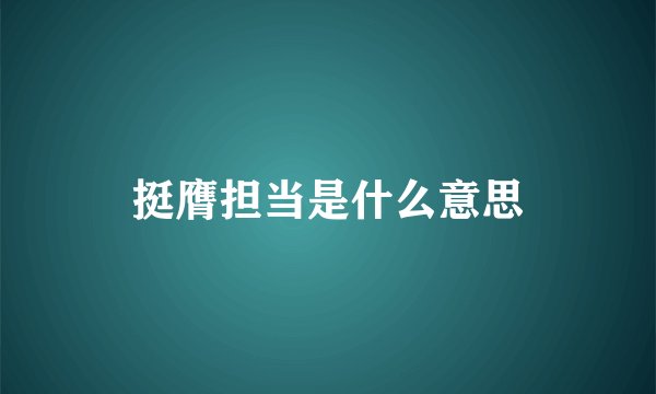 挺膺担当是什么意思
