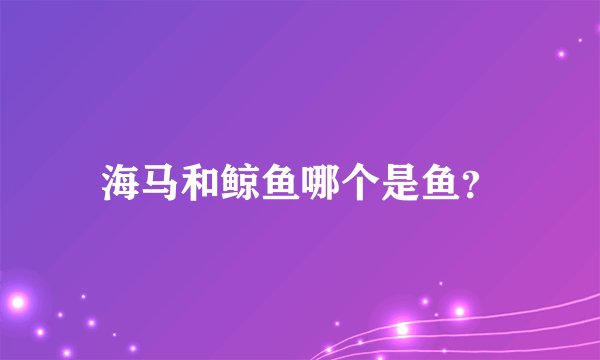 海马和鲸鱼哪个是鱼？