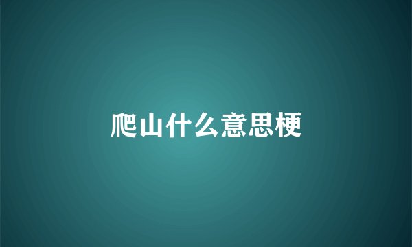 爬山什么意思梗