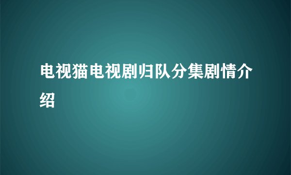 电视猫电视剧归队分集剧情介绍