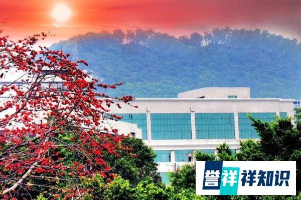 应届毕业生数量首破900万，就业形势及其严峻！