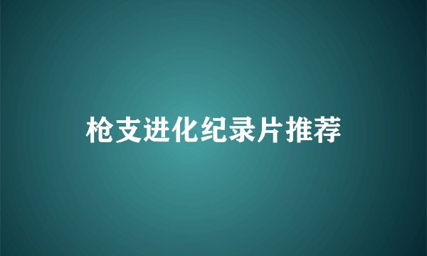 枪支进化纪录片推荐