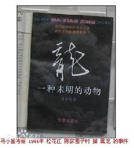 陈家围子村的吉林扶余县
