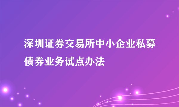 深圳证券交易所中小企业私募债券业务试点办法