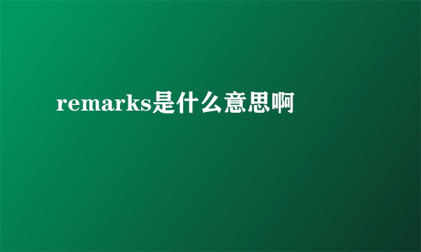 remarks是什么意思啊