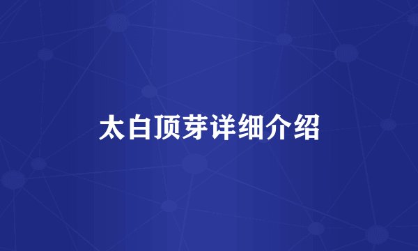 太白顶芽详细介绍