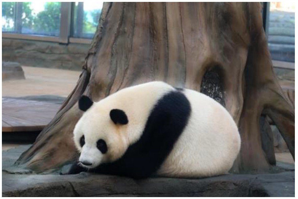 安闲自在的意思