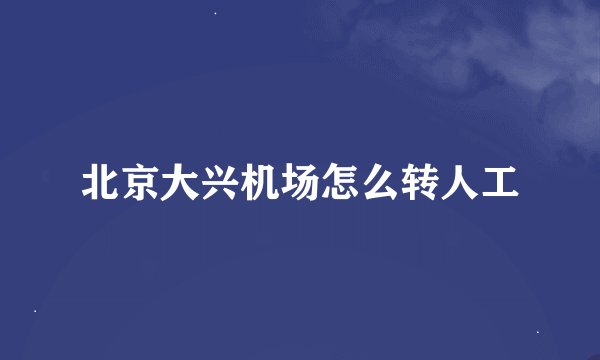 北京大兴机场怎么转人工