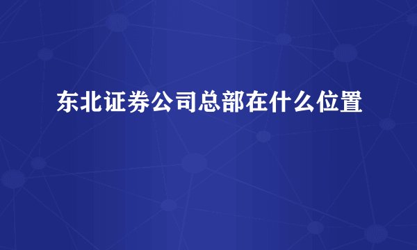 东北证券公司总部在什么位置