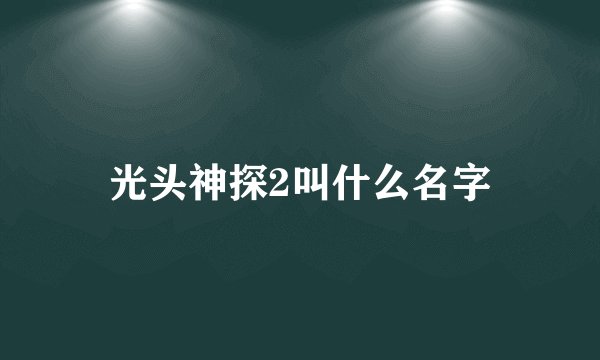 光头神探2叫什么名字