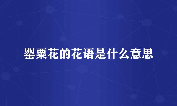 罂粟花的花语是什么意思