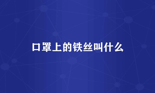 口罩上的铁丝叫什么