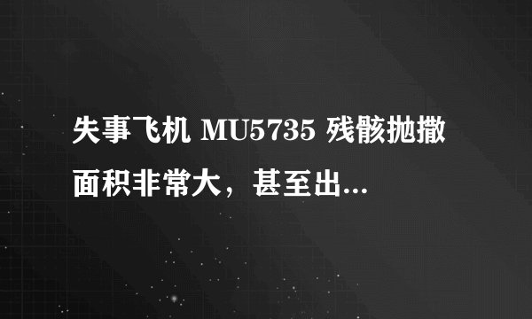失事飞机 MU5735 残骸抛撒面积非常大，甚至出现在山的另一边，还有哪些信息值得关注？