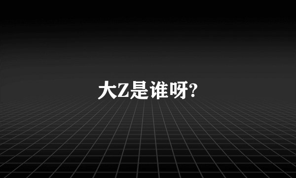 大Z是谁呀?
