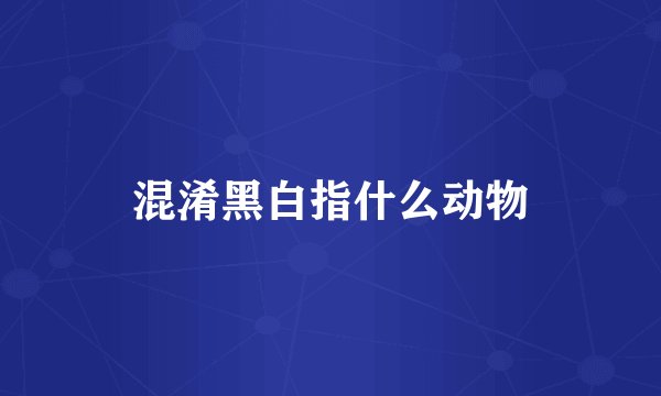 混淆黑白指什么动物