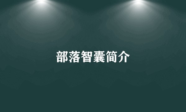 部落智囊简介