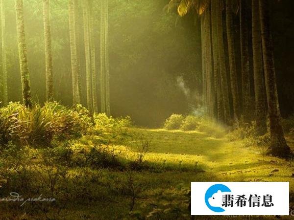 杜甫《立春》春日春盘细生菜赏析句解-唐代古诗